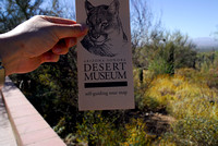 Desert Museum 2008